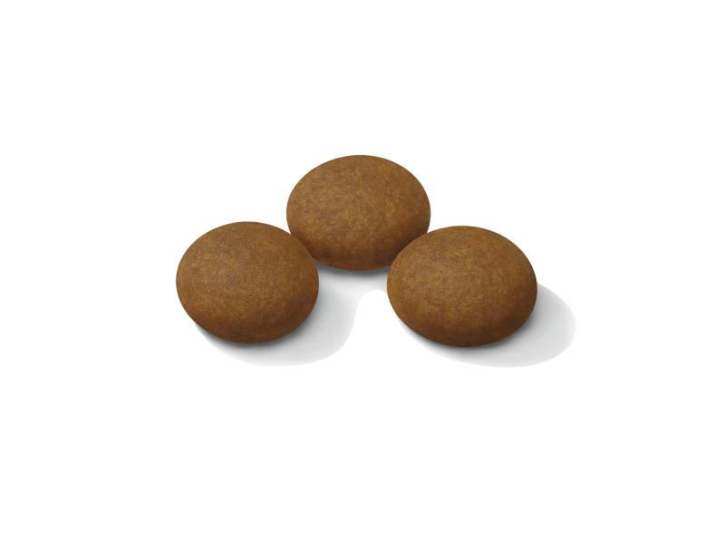 Sporting Life Energy 4300 15kg Royal Canin