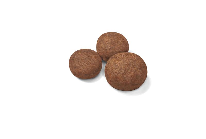 Medium Puppy 10 kg Royal Canin