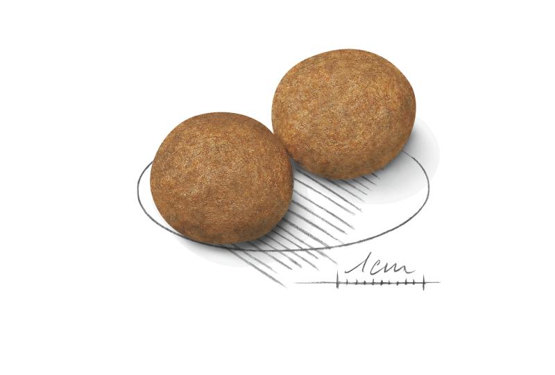 Medium Adult 4 kg Royal Canin