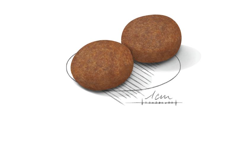 Medium Adult 7+ 15 kg Royal Canin