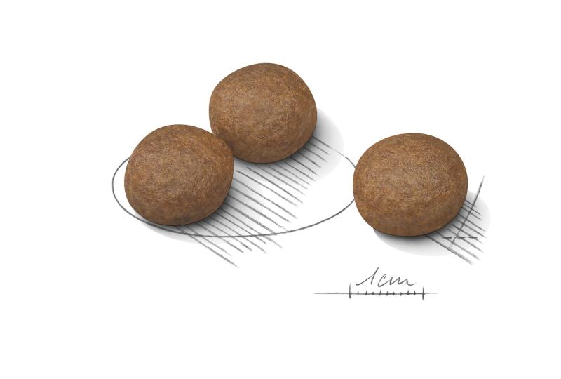 Digestive Care Medium 12kg Royal Canin