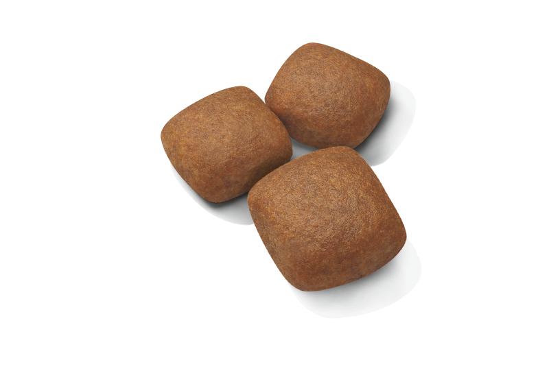 Giant Junior 15 kg Royal Canin