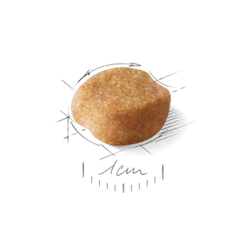 Yorkshire Terrier Adult 7,5 kg Royal Canin