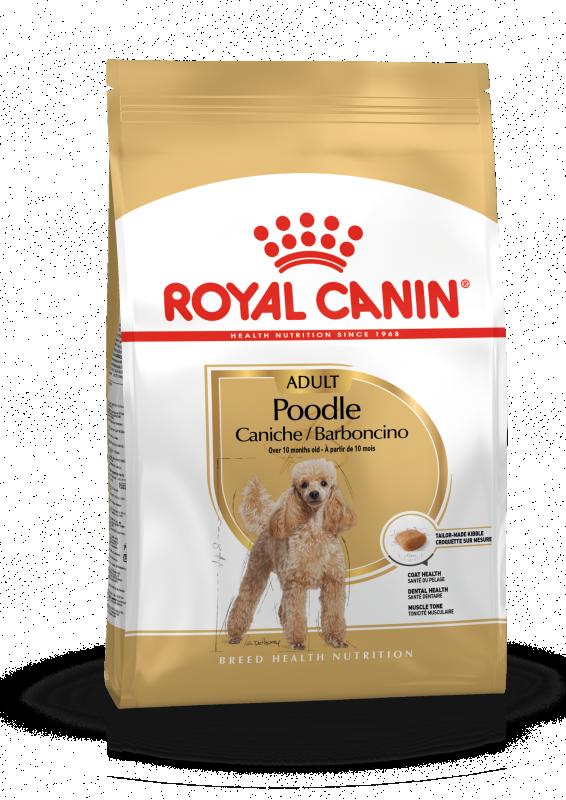 Poodle Adult 1,5 kg Royal Canin