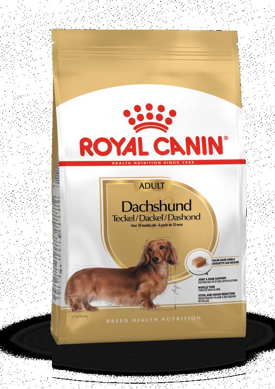 Dachshund Adult 1,5 kg Royal Canin