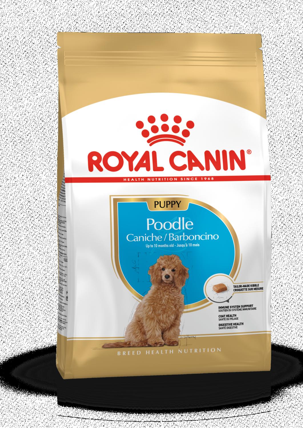 Poodle Puppy 3 kg Royal Canin