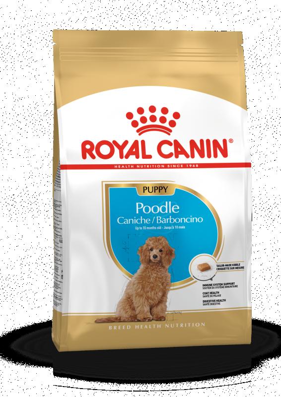 Poodle Puppy 3 kg Royal Canin