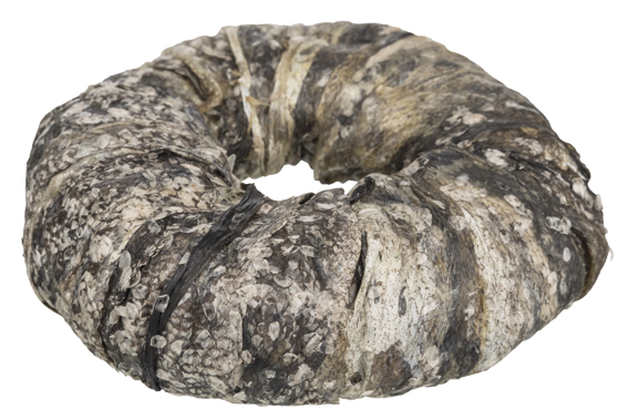 Denta Fun Tuggring, fisk, Styck, o, 10 cm, 110 g