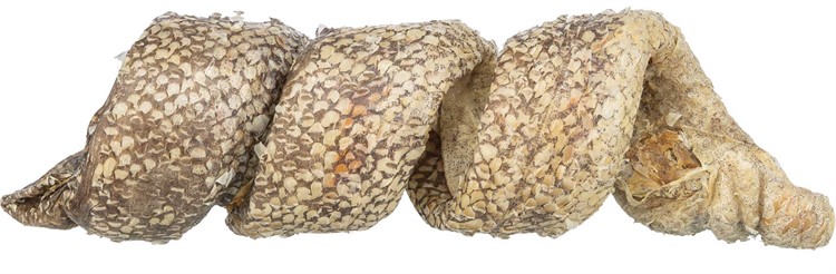 Denta Fun Curl med torsk, styck 12 cm, 25 g