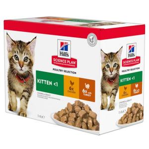 Hills Kitten  Multipack Chicken & Turkey, 12x85g, multipack