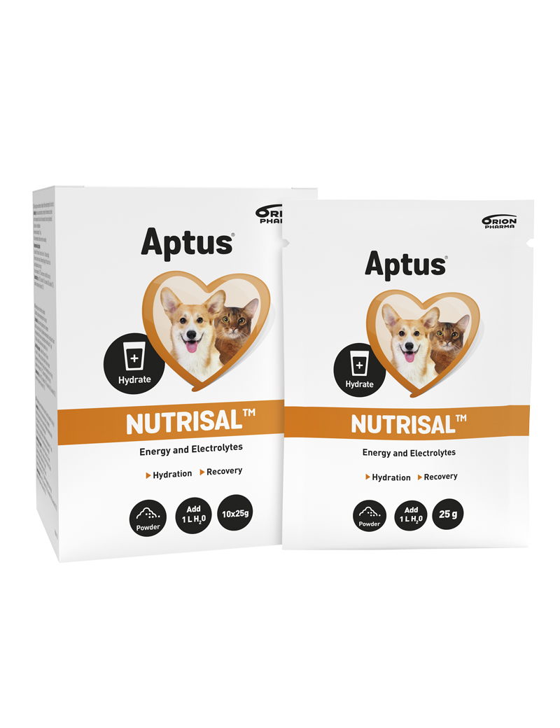 Aptus Nutrisal Vätskeersättning 10 x 25 g