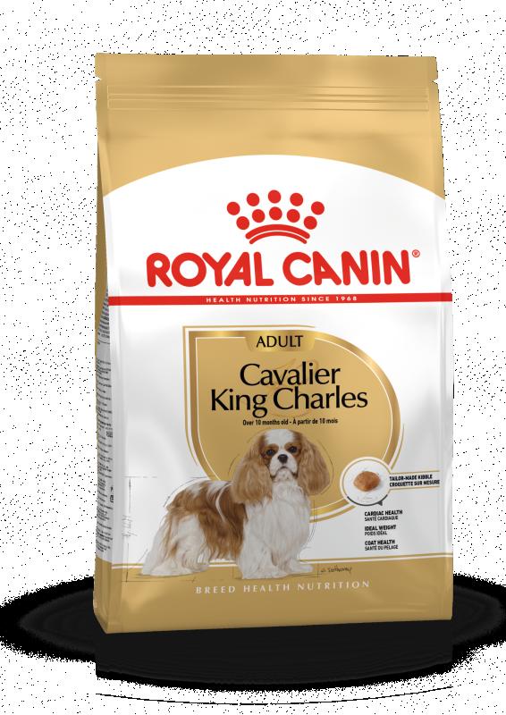 Cavalier King Charles Adult 7,5 kg Royal Canin