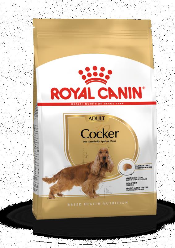 Cocker Adult 12 kg Royal Canin