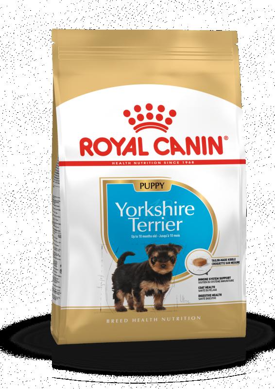 Yorkshire Terrier Puppy 1,5 kg Royal Canin
