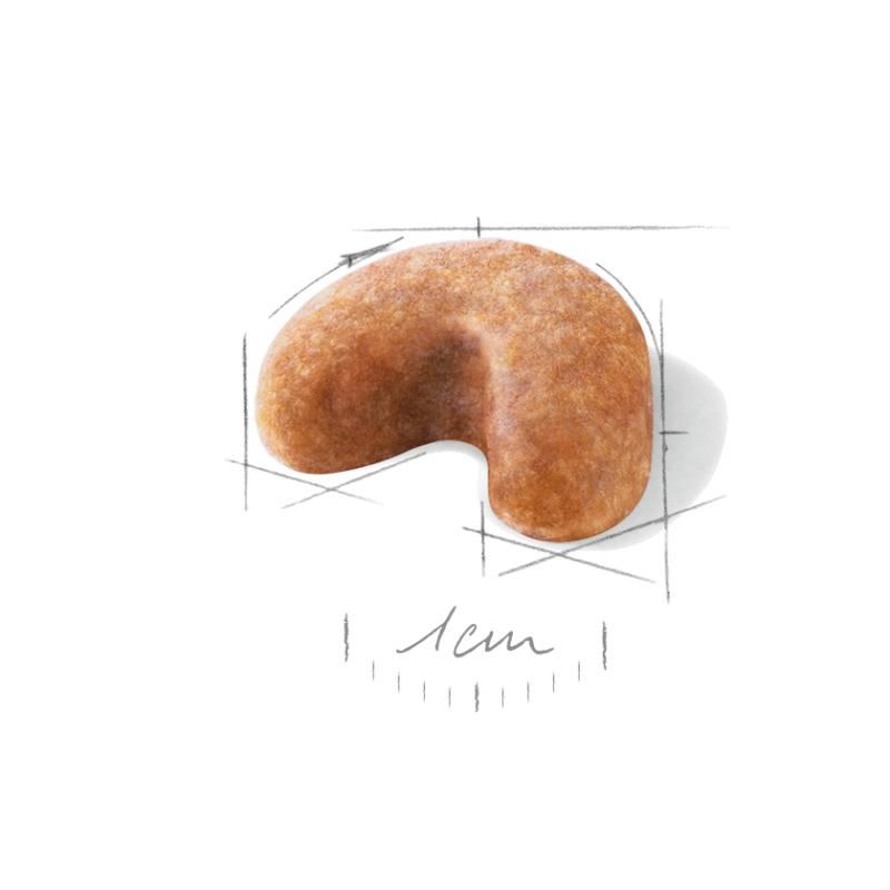 French Bulldog Puppy 3 kg Royal Canin