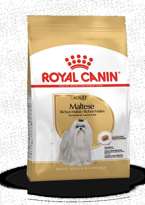 Maltese Adult 1,5 kg Royal Canin