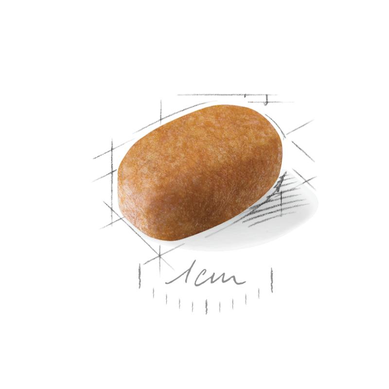 Maltese Adult 1,5 kg Royal Canin