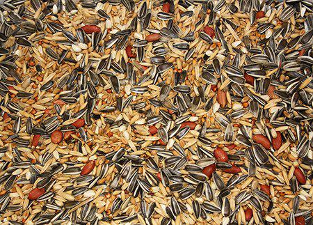 VILDFÅGEL STANDARD 5KG