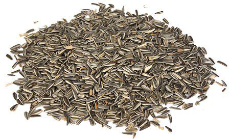 SOLROSFRÖ STRIMMIGT (Pioner) 20KG