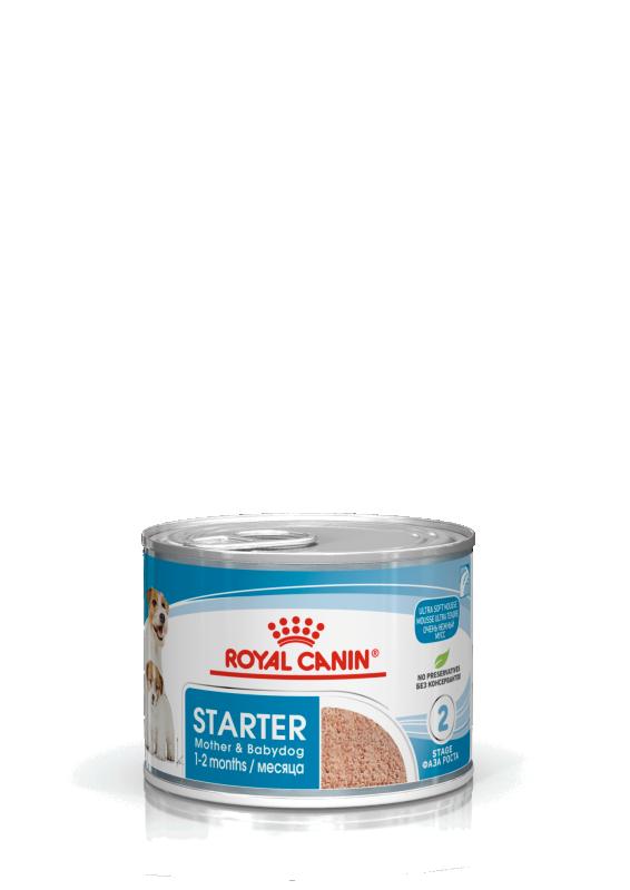 Royal Canin WET Starter Mousse 195g