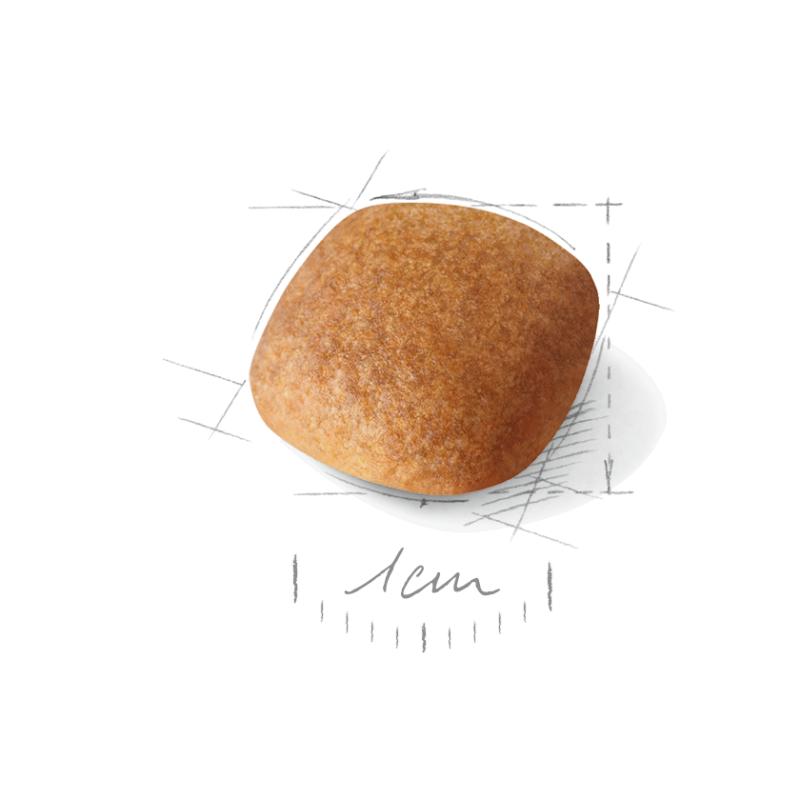 Bichon Frisé Adult 1,5 kg Royal Canin