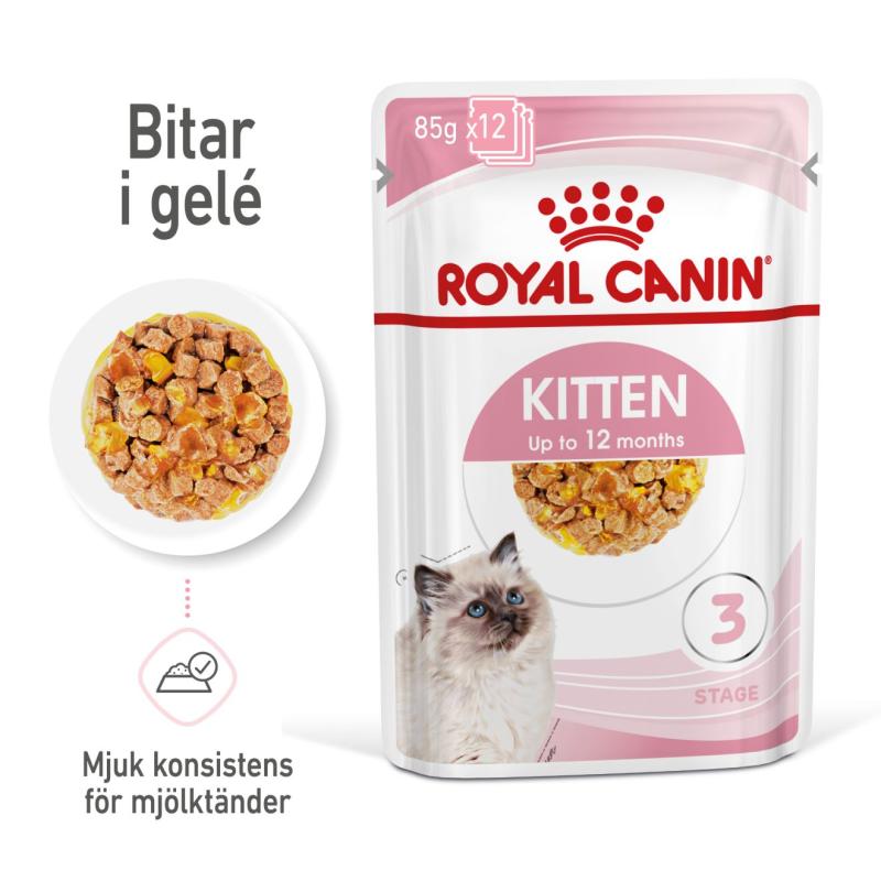 Kitten Jelly 12x85 g Royal Canin