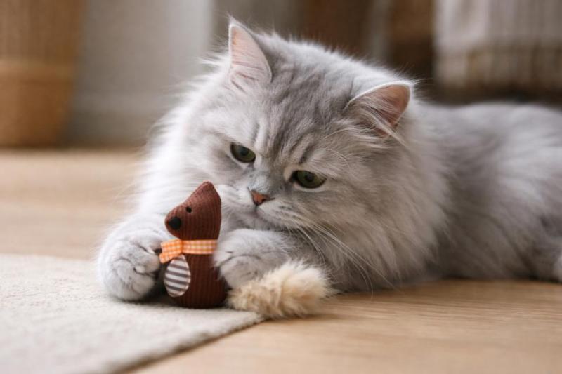 Companion Cat Squirrel plyschdjur med kattmynta
