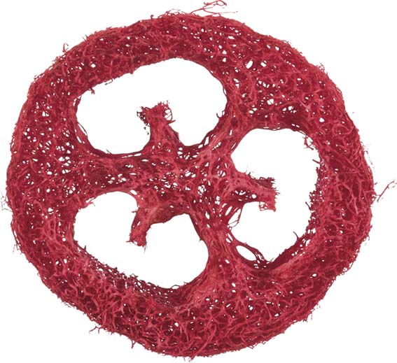 Luffaleksak, ringar, 8 cm, 2-pack