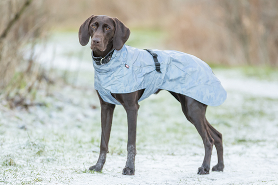 Lunas regntäcke, helreflex, XS: 25 cm, silverblå