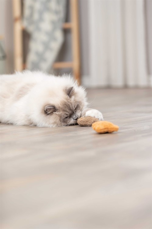 Björn, plysch, catnip, 8 cm