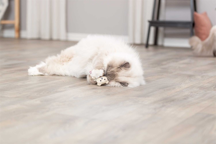 Björn, tyg, catnip, 12 cm