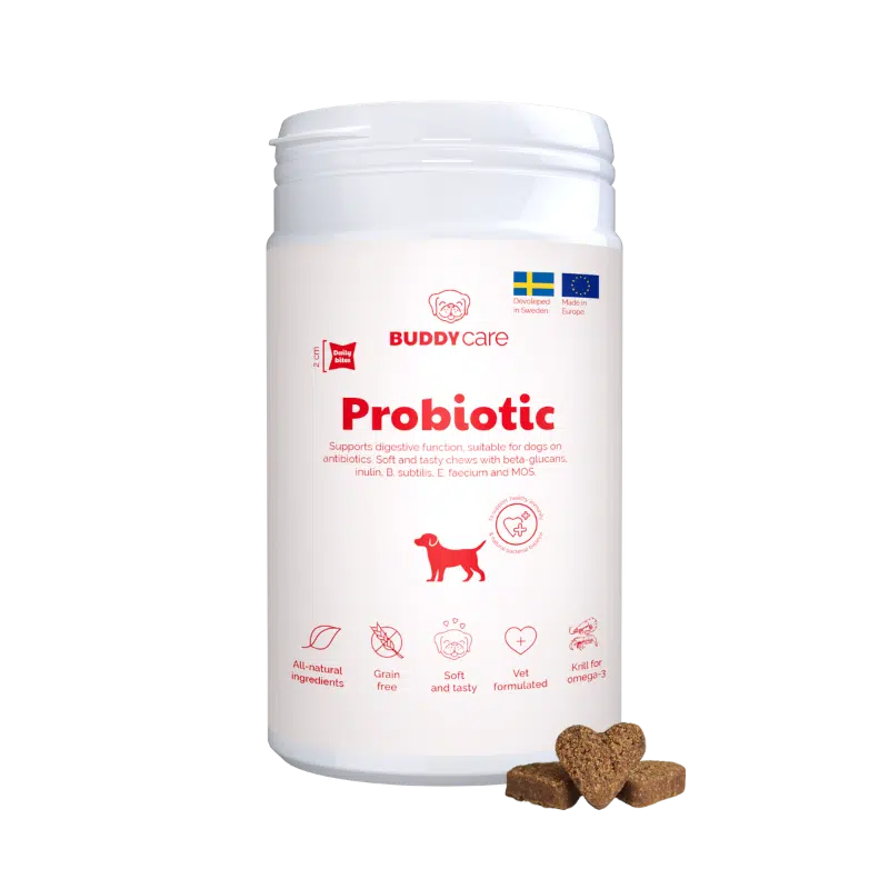 BuddyCare Probiotic