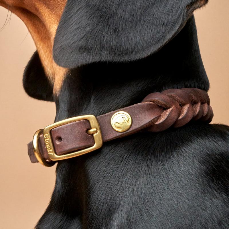 Collar Central Park L Saddle Brown Gold (braided) CLOUD7