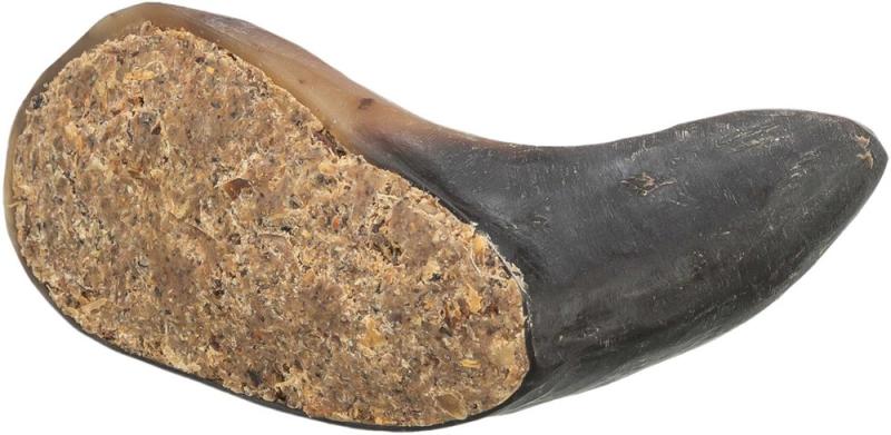 Buffelhorn fylld, 10-14 cm