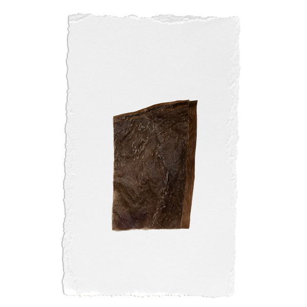 Njordpet Nötchips Styck