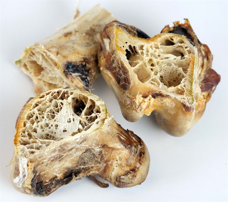 2pets strutsben Dino, 30 cm