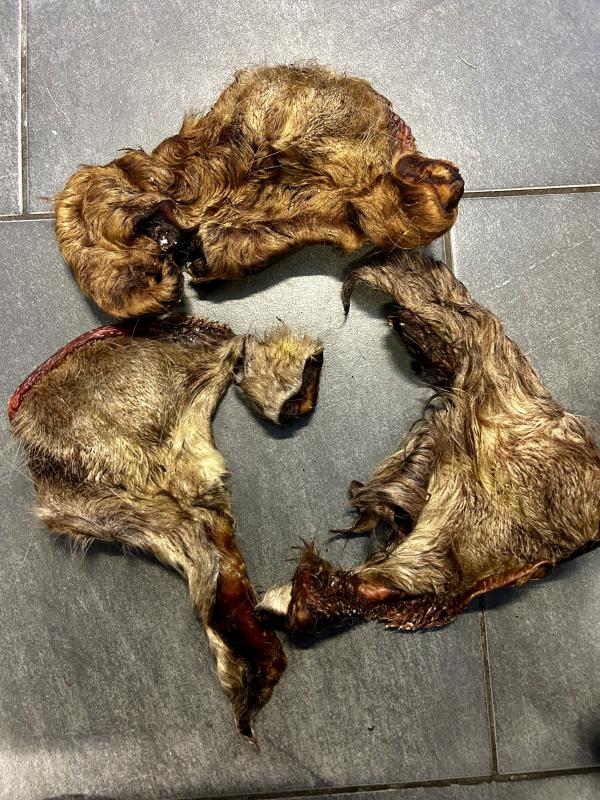 Oxkind 2 kg ca 6-12 st