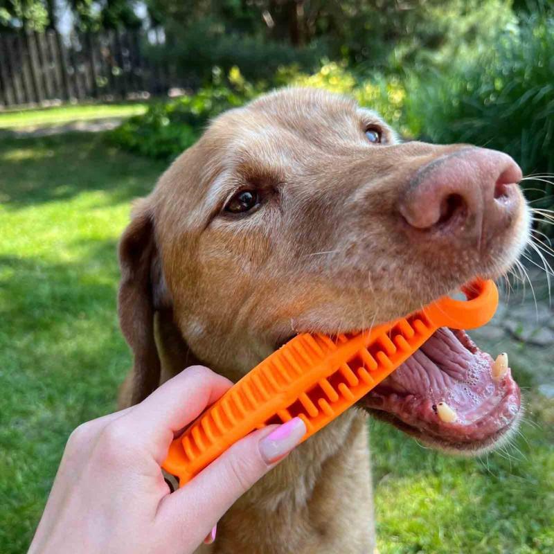 Fiboone Leksaksben Dental, 19cm - Oranget