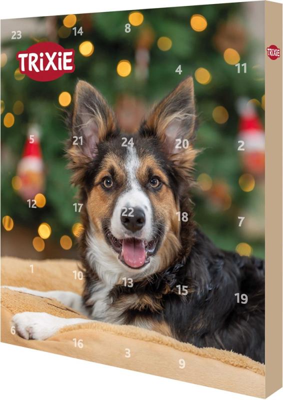 Adventskalender hund