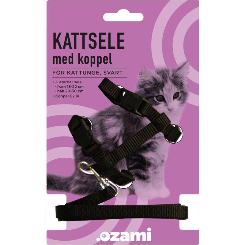 Kattsele Med Koppelkattunge Svart