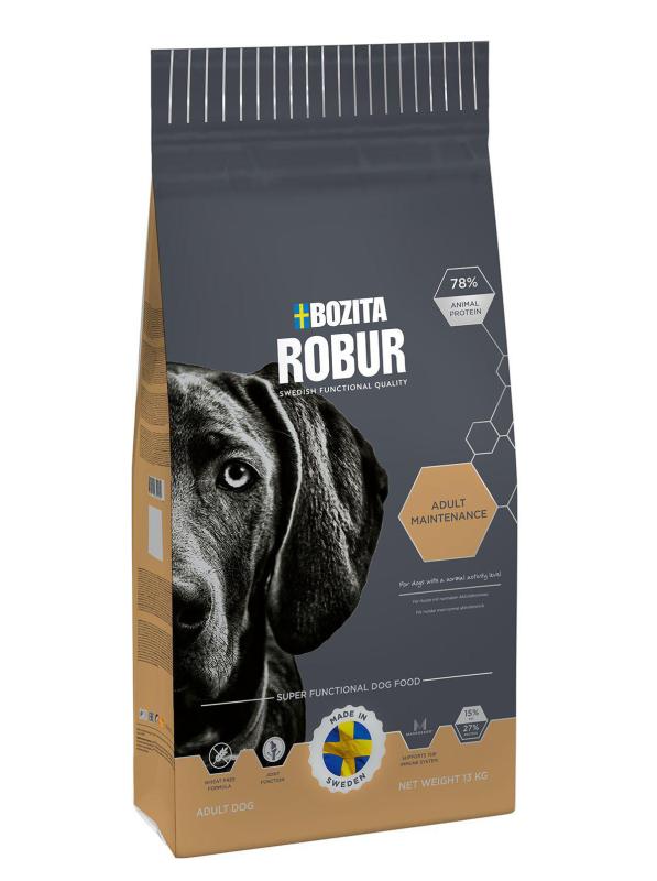 Robur Adult Maint. 13 kg