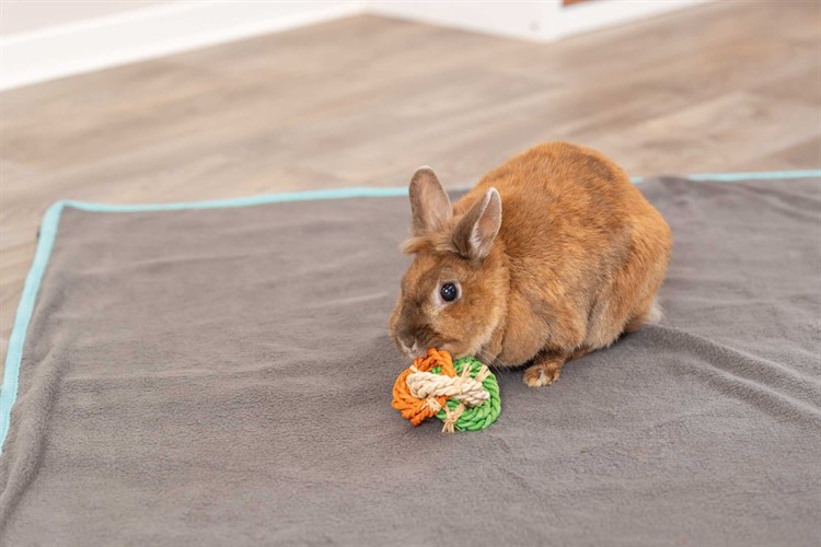 Lekringar, majsblad, o 6 * 15 cm