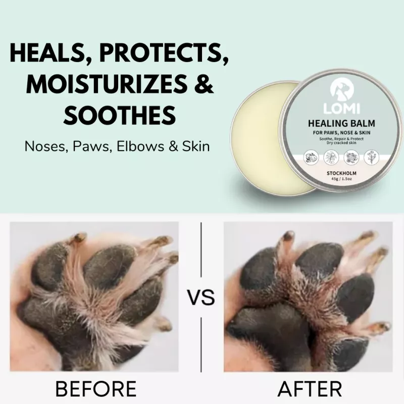 REJUVENATE ME! NATURLIG TASSALVA FÖR HUND & KATT