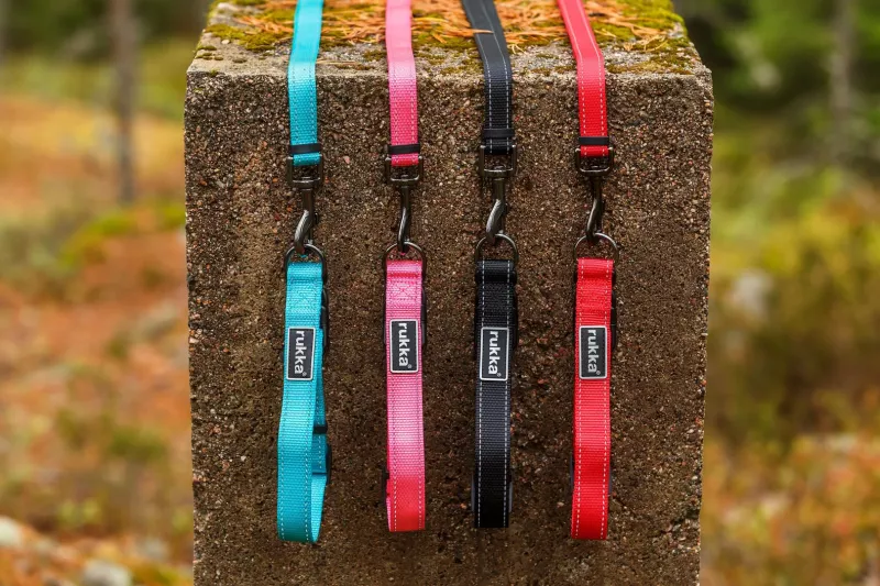 BLISS Halsband BLACK L