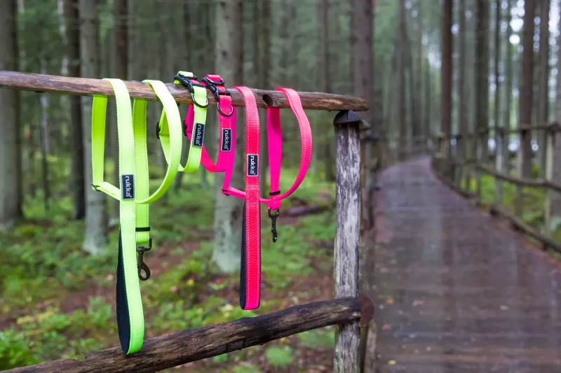 BLISS NEON Halsband NEON YELLOW L