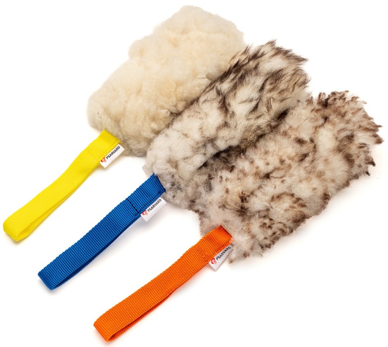 Kampleksak - Moni, Blå