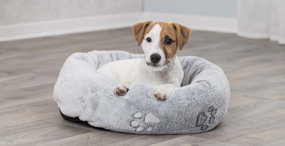 Nando bädd, rund, 50 o 40 cm, ljusgrå