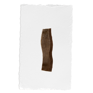 Njordpet Nötstrips Styck