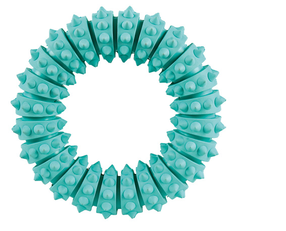 Denta Fun, ring m mintsmak, naturgummi, o, 12 cm