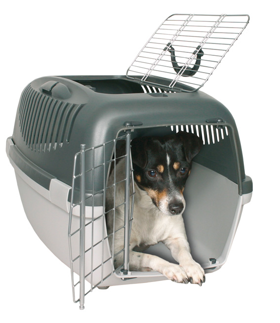 Transportbur Capri 3, Open, 40 x h38 x 61 cm, grå